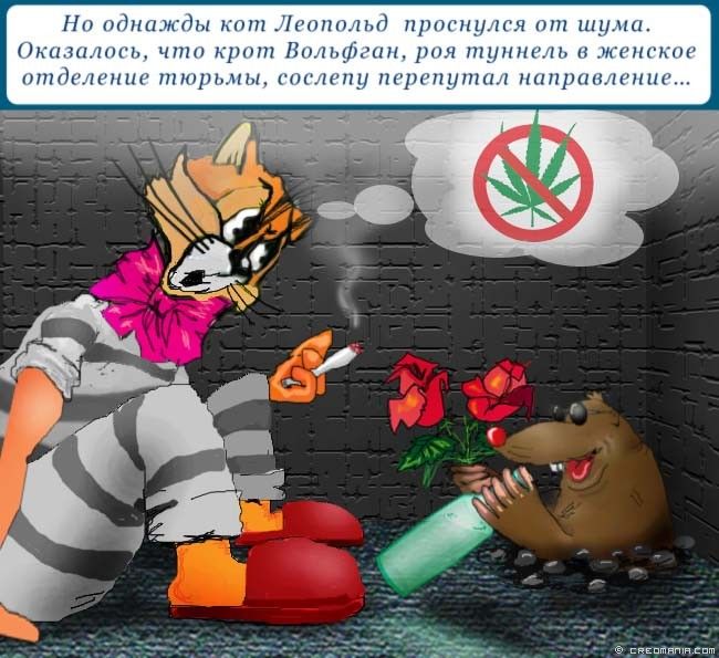 ����� ���� ���������