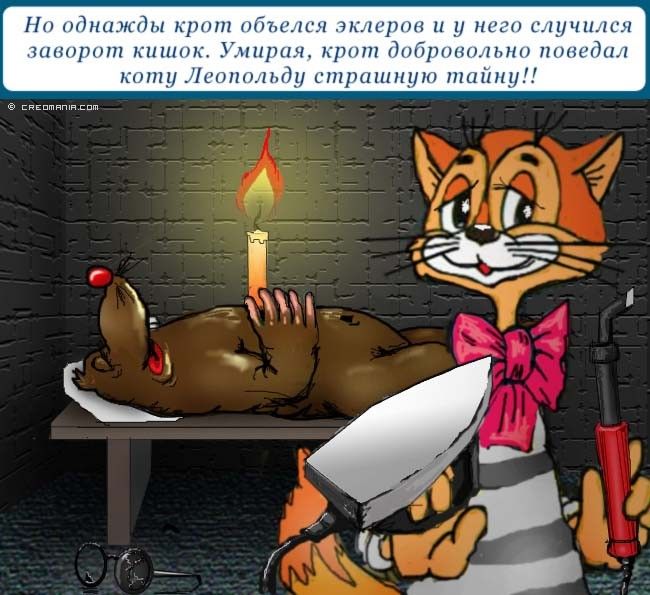 ����� ���� ���������