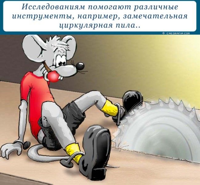 ����� ���� ���������