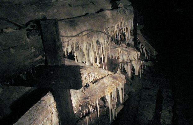 ����������