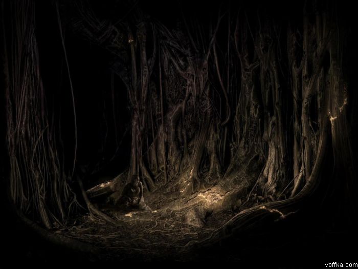 ������� ����