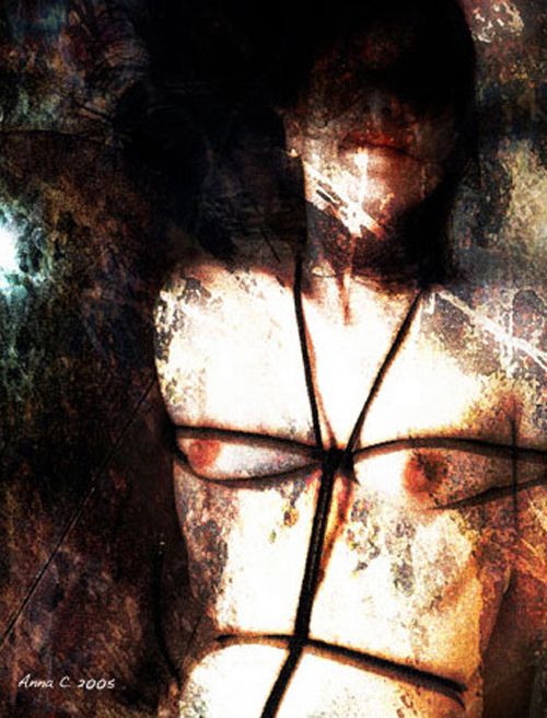 ����������