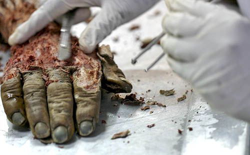 ����� ��������