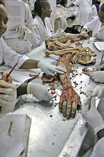 ����� ��������