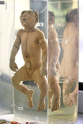 ����� ��������