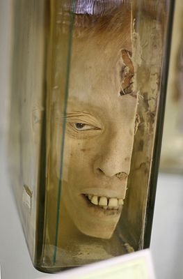 ����� ��������