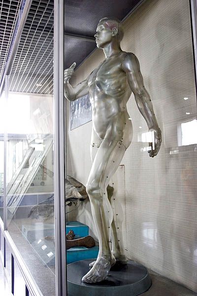 ����� ��������