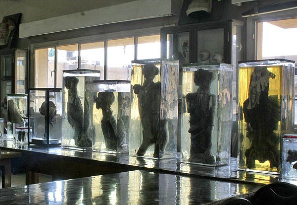 ����� ��������