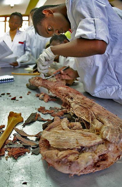 ����� ��������