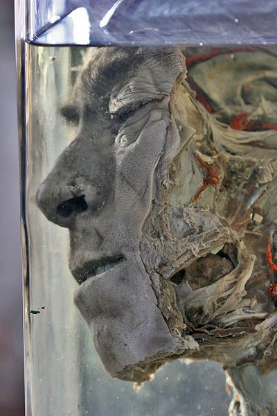 ����� ��������