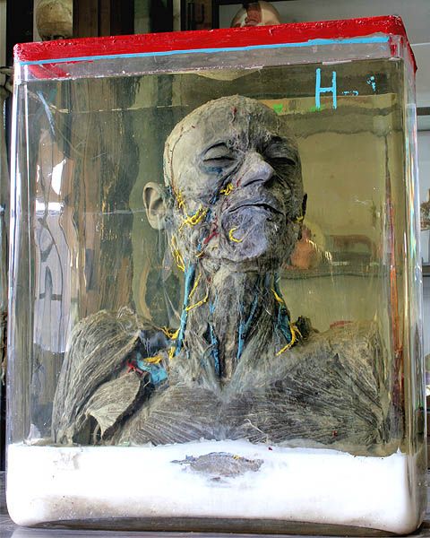 ����� ��������