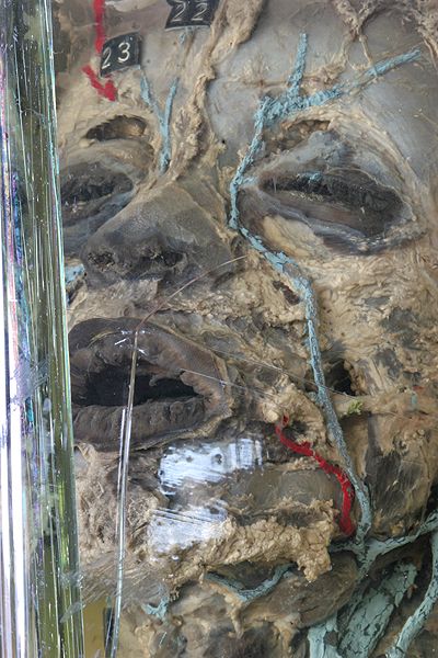 ����� ��������