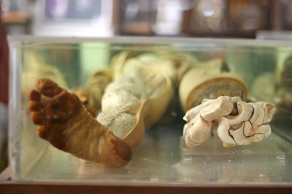 ����� ��������