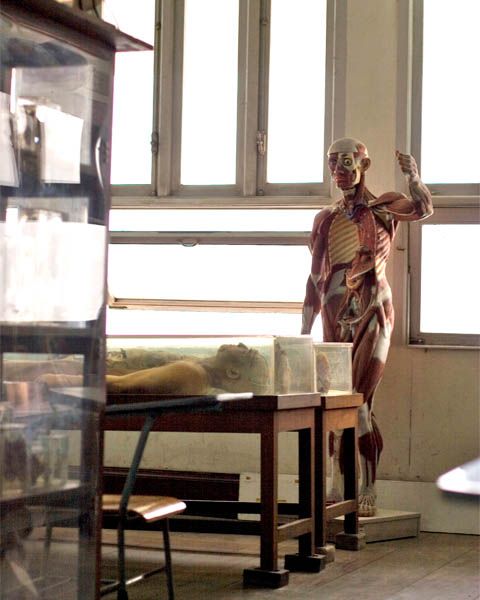 ����� ��������