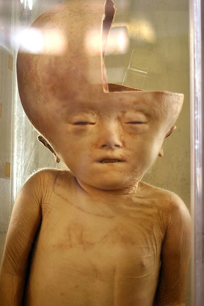 ����� ��������