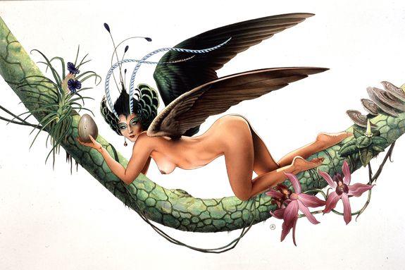 ���-��������