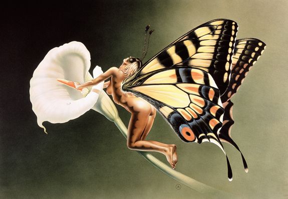 ���-��������