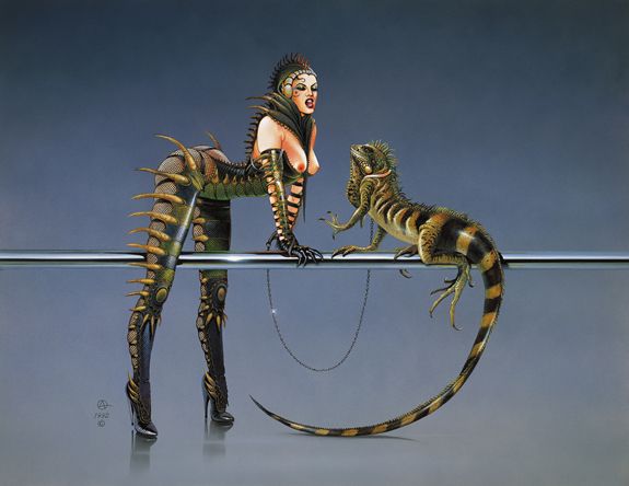 ���-��������