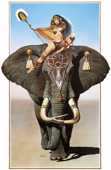 ���-��������