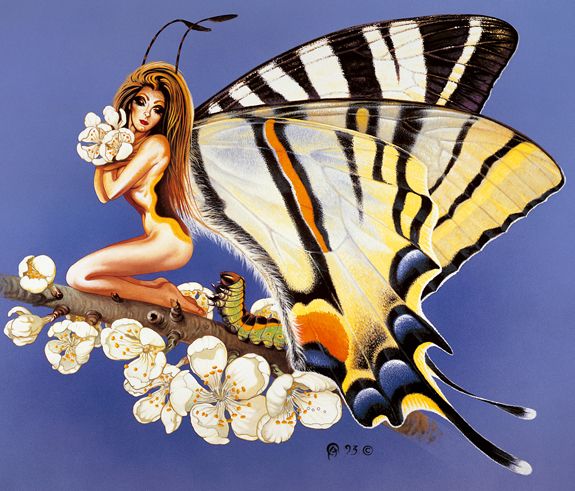 ���-��������