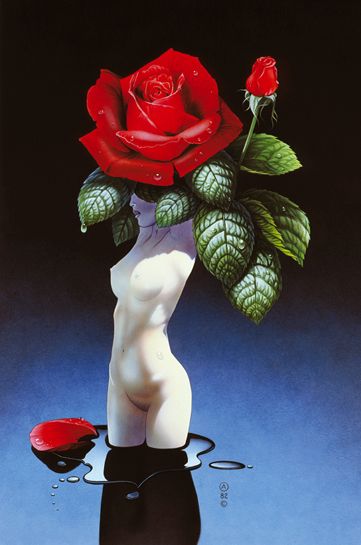 ���-��������