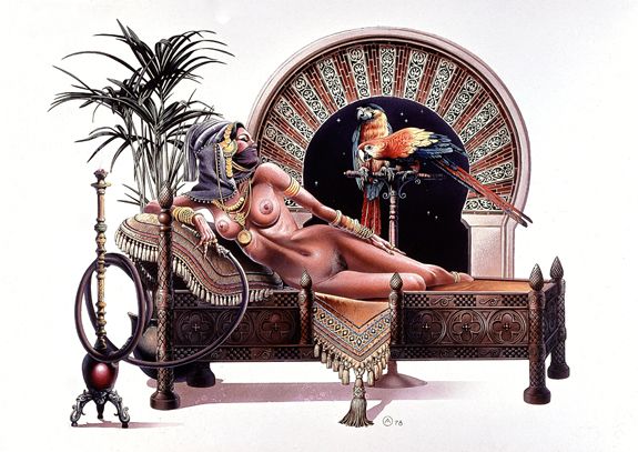 ���-��������