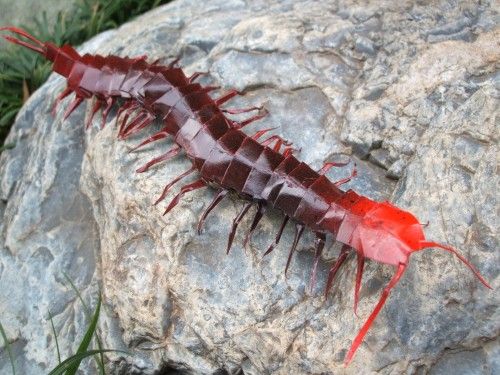 �������