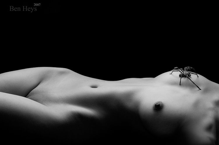 ������ � �������