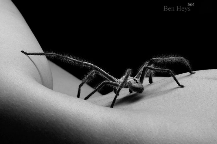 ������ � �������