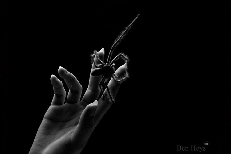 ������ � �������