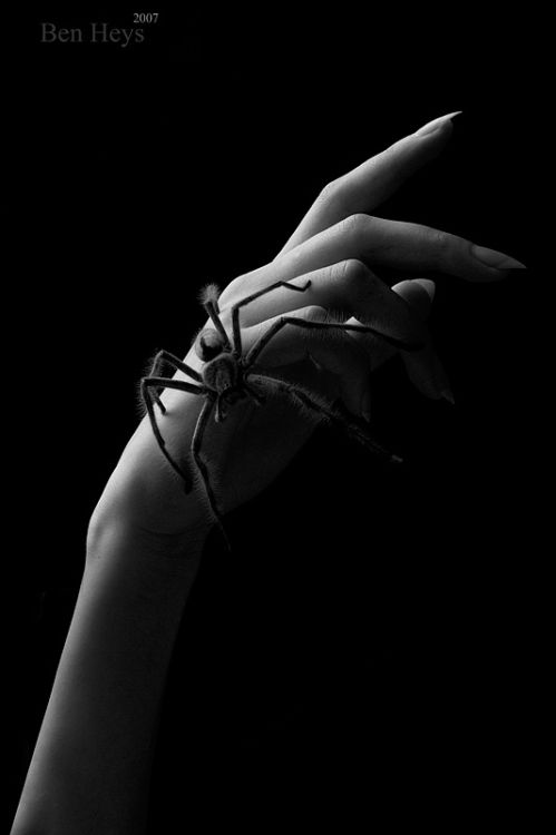 ������ � �������