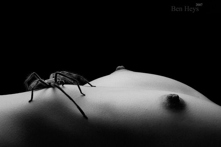 ������ � �������