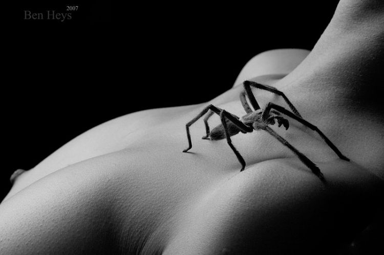 ������ � �������