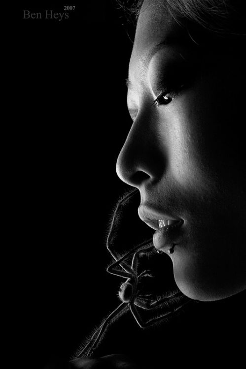 ������ � �������