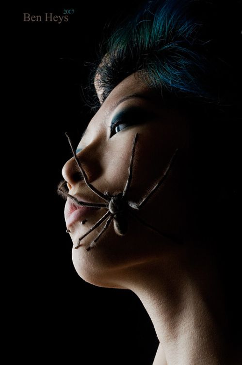 ������ � �������