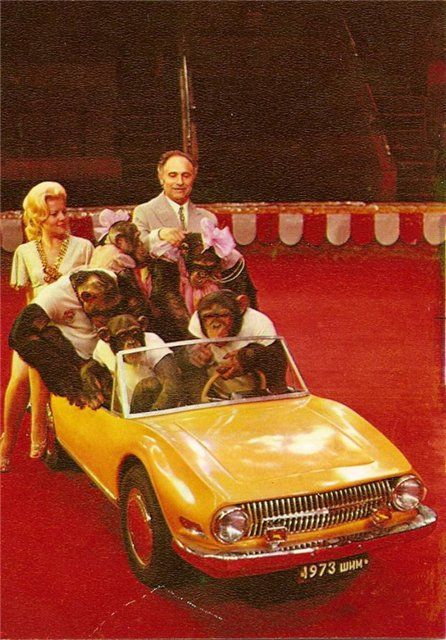 ��������� ������ ����