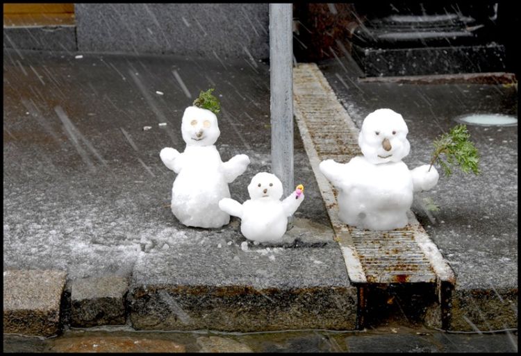 ������ ����