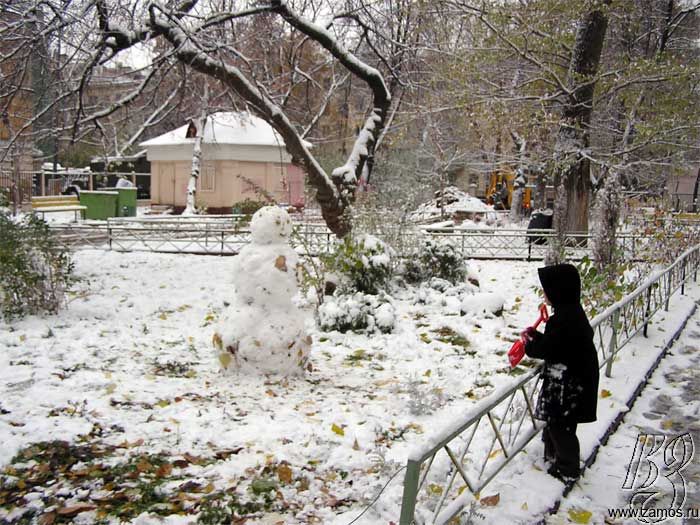 ������ ����