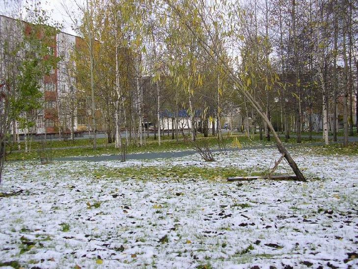 ������ ����