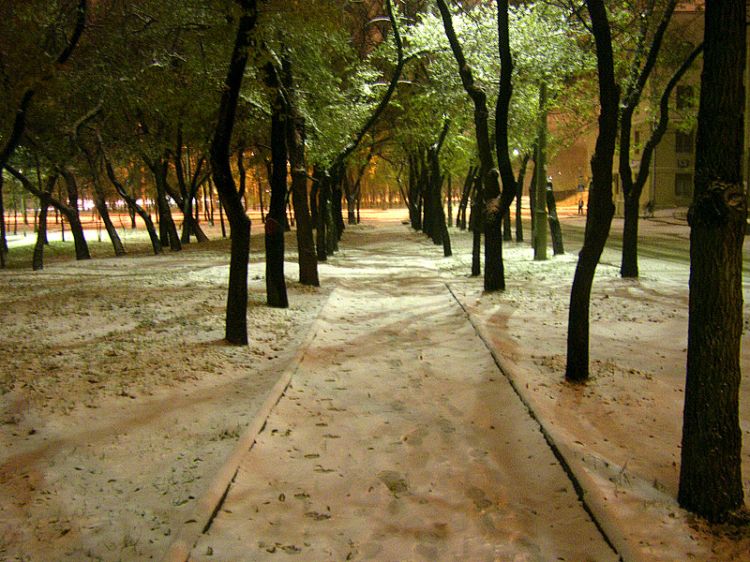 ������ ����