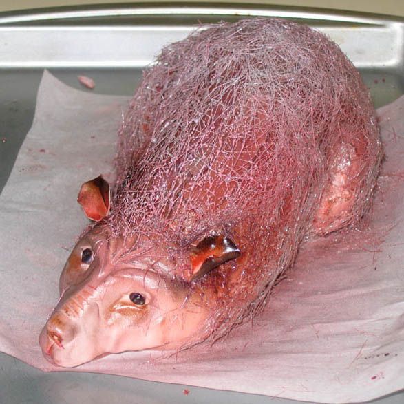 �������