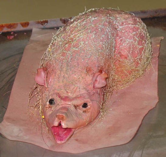 �������