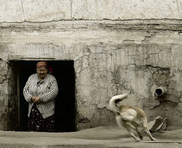 ���������