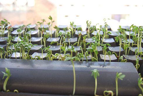 ������������ ������� ������� �����