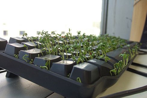 ������������ ������� ������� �����