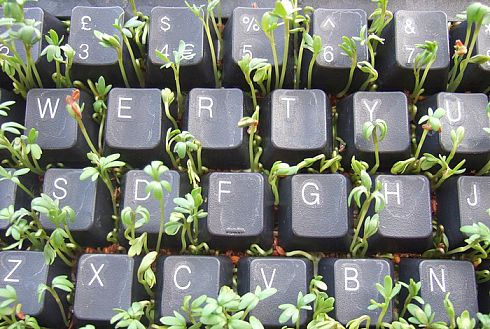 ������������ ������� ������� �����