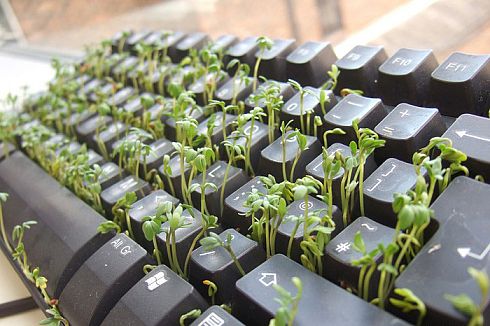 ������������ ������� ������� �����