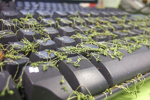 ������������ ������� ������� �����