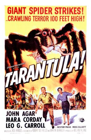 �����-������� � ������� ������