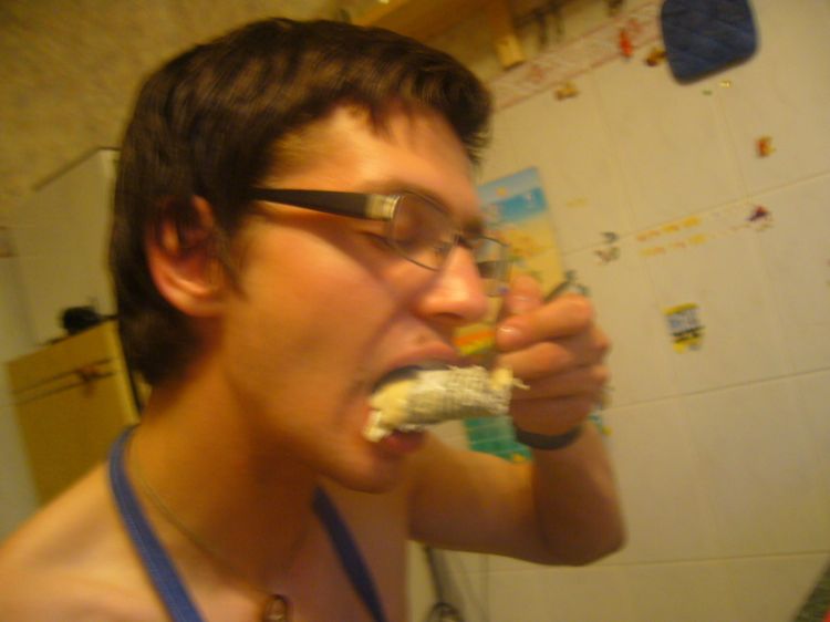 �������� ����